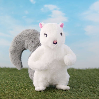 Skye Squirrel with Gray Tail on grass with blue sky background